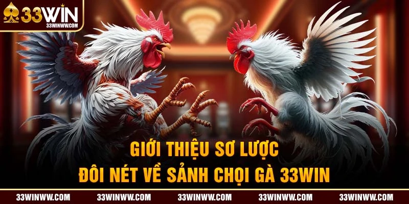 Giới thiệu đôi nét về sảnh chọi gà 33WIN